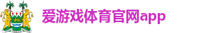 爱游戏体育官网app